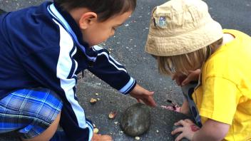 Children trying their hands at acorn processing at Picnic Day.