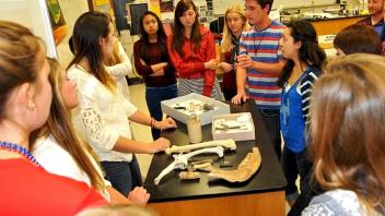 Elizabeth Guerra makes an outreach visit to a high school classroom.