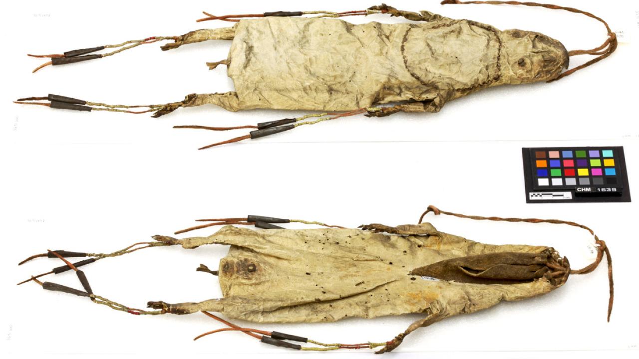 August 27, 2015: Muskrat Skin Pouch