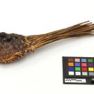 Kawiisu Resin Spoon (San-na-que-ah-but-zy)